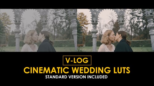 V-Log Cinema Wedding and Standard Color LUTs