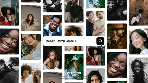 Mosaic Search révèle