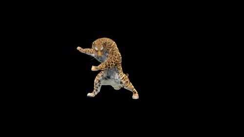Leopard Dancing 4K