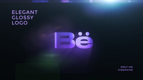 Elegant Glossy Logo