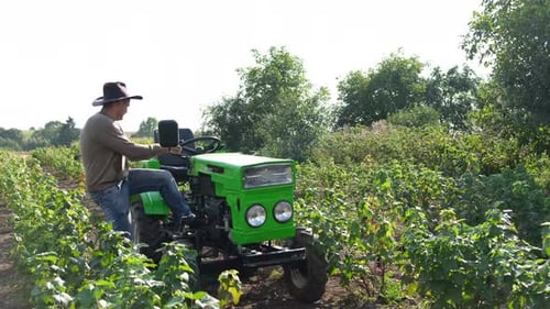 Man Gets on Tractor in a Rural Farm Field