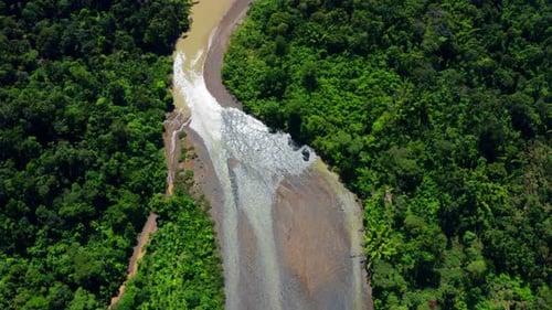 Luftaufnahme über einem tropischen Fluss in einem Regenwald