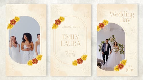 Wedding Stories Instagram