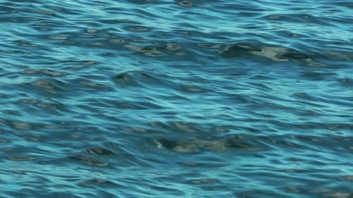 Blue Sea Wave Background