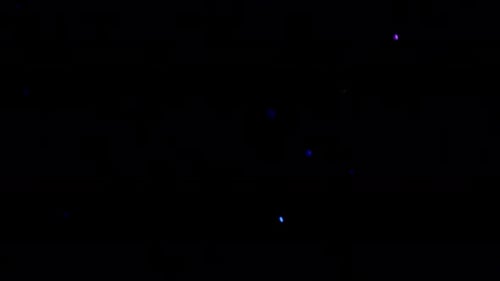 Shiny Dust Particle