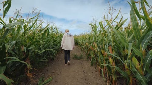 A Young Woman Walks Through an Autumn Maze in an American Farm