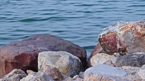 Rocks on the Shoreline with Calm Water
