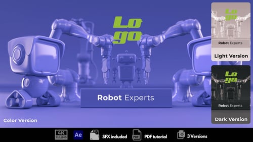 Expertos en robots
