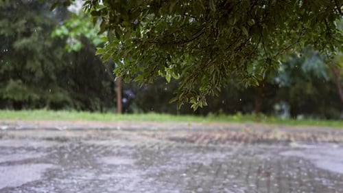 Pluie