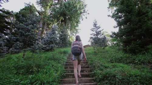 A Girl with a Backpack Climbs Up the Old Stone Stairs Through the Coniferous Park on the Mountain