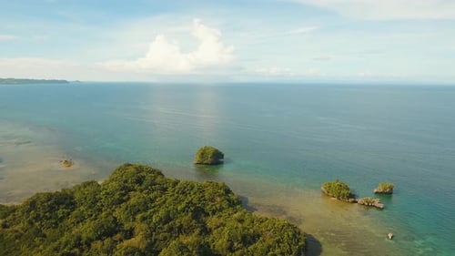 Coast of Tropical Island.