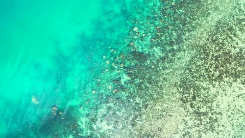 Rocks and corals under calm clear water of turquoise lagoon, beautiful sea texture on seaside of Ind