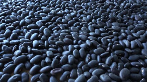 Heap of Shiny Black Beans for Cooking