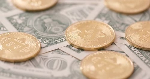 US dollar and bitcoin
