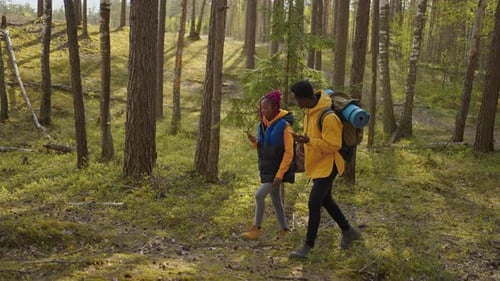 Young Couple Hiking Through a Forest