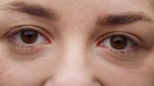 Closeup of Brown Eyes