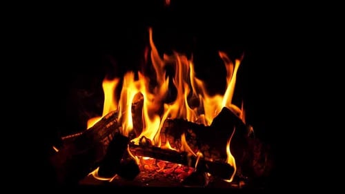 Vibrant Campfire Flames Dancing Against Dark Backdrop