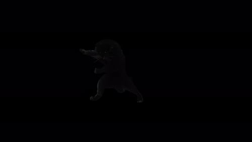 Animated Black Panther Moving and Pouncing