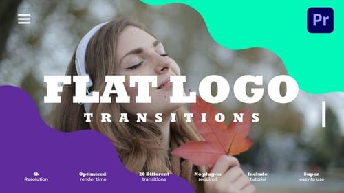 Flat Logo Transitions