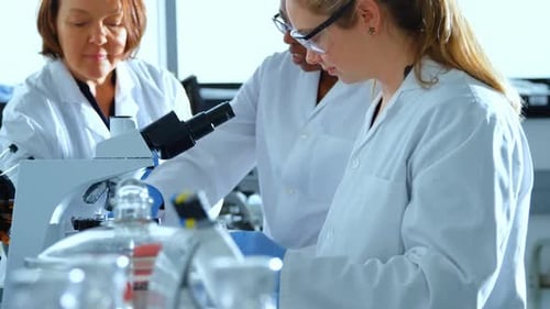 Wissenschaftlerteam experimentiert zusammen 4k