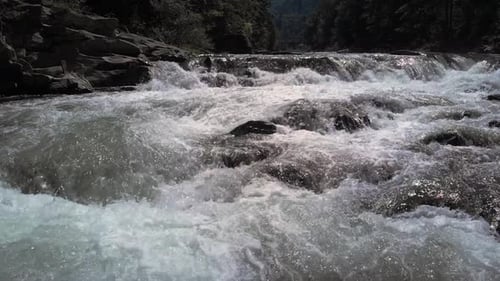 Foamy Stream of Mountain River