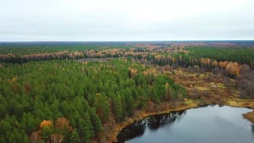 Autumn In The Forest 38