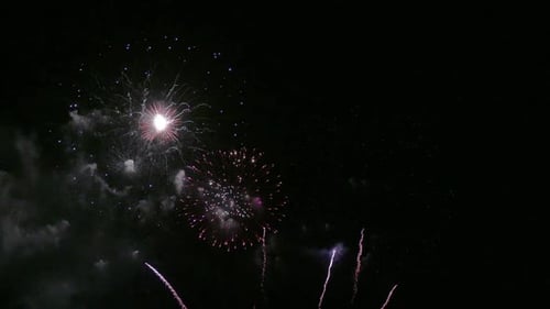 Buntes Feuerwerk bei Nacht auf Himmelshintergrund