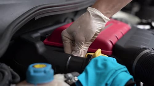 car oil level check. close-up.