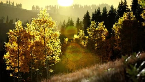 Bright Sunset in the Mountains