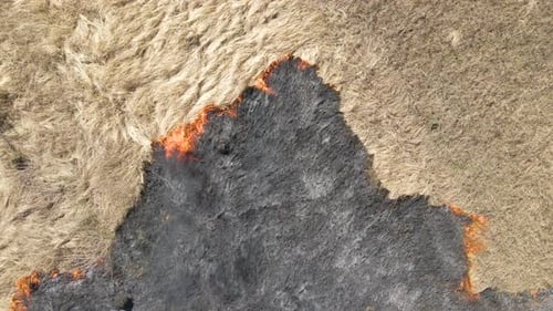 Aerial View of Grassland Field Burning with Red Fire During Dry Season