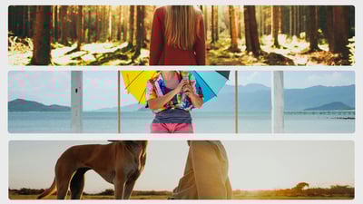 Vertical Split Frame - Free DaVinci Resolve Template | Mixkit