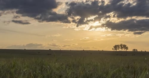 Flat Hill Meadow Timelapse at the Summer Sunset Time
