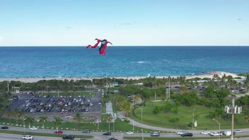Summer Nature of Florida. Aerial of the Kites Soaring Above the Blue Ocean
