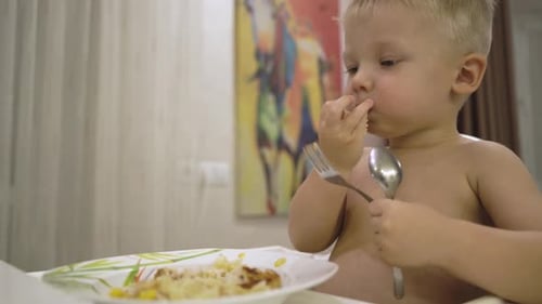Young Child Eating a Meal at Home