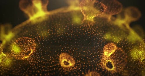 Dynamic Glowing Particle Abstract Organism Science Background Animation