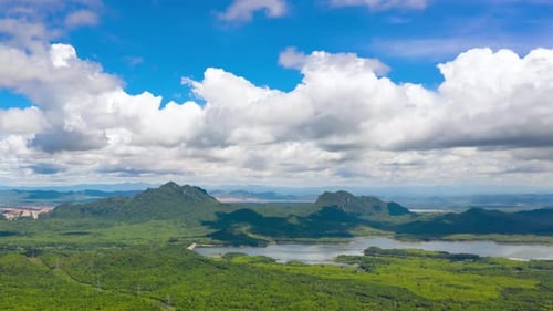Aerial View of Tropical Landscape with Lake
