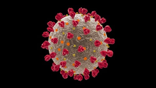 Realistic 3D Rotating Virus Particle for Medical Science