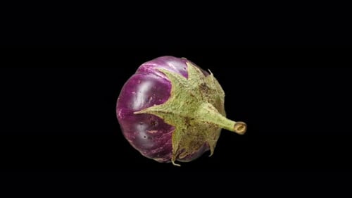 Eggplant Rotating With Alpha Channel