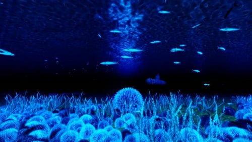 Deep Blue Ocean Submarine and Fish Underwater Scene
