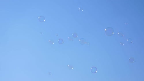 Bubbles Floating Gently in a Blue Sky