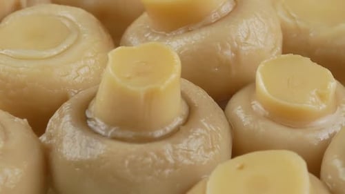 marinated champignons close up