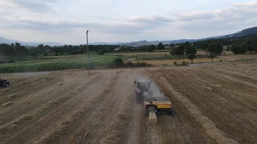 Harvesting