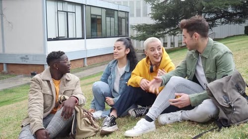 Group of Multiethnic Young Students Sitting on Campus Talking to Each Other