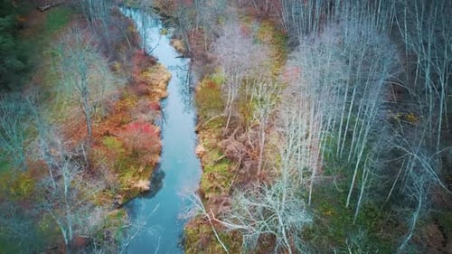 River and Colorful Forest Woodland at Autumn Trees Forest Landscape Aerial Shot
