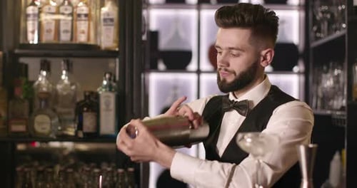 Young Adult Bartender Shaking a Cocktail Shaker