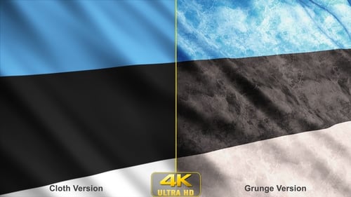Estonia Flags