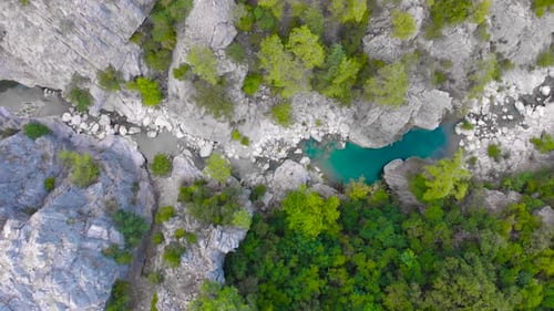 Flight Over a Mountain River and a Trail to a Gorge Among a Coniferous Forest