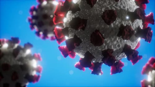 Coronavirus COVID-19 Medical Model