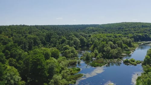 River in the forest. Flight over the beautiful blue lake on green trees background.