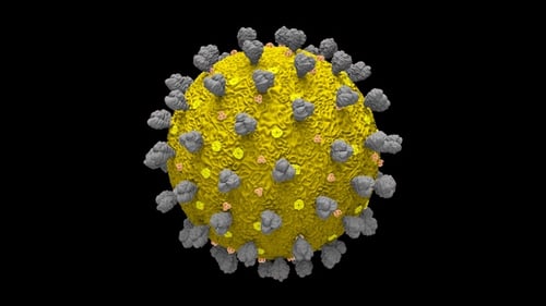Rotating 3D Virus Cell Animation with Alpha Channel